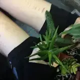 Porn Picture