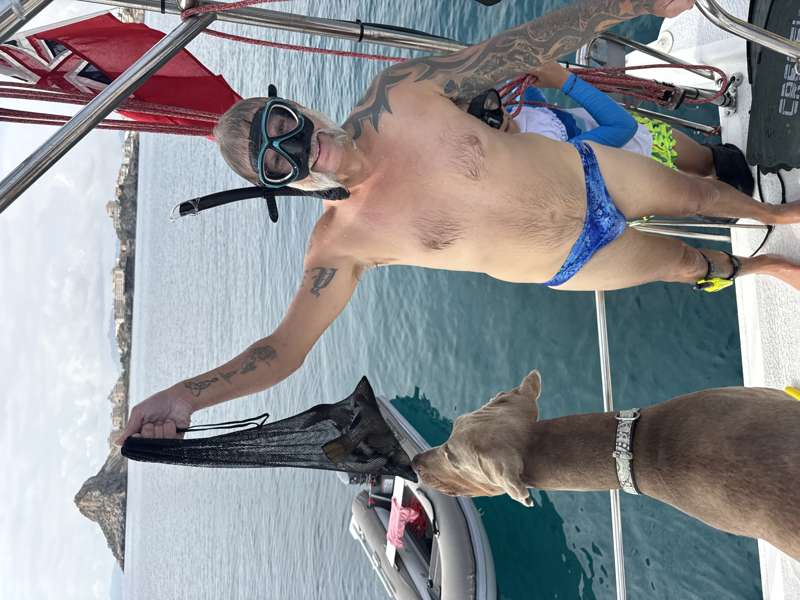 sailing-pickle-family