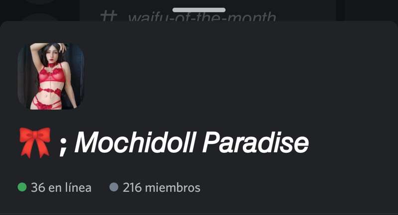 Mochidolll