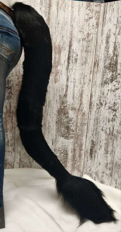 January Free Tail Pattern: Long Creature Tail