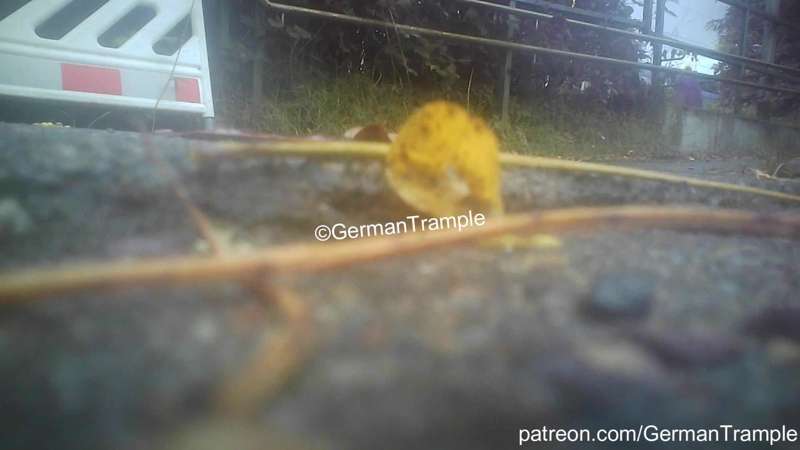German-Trample