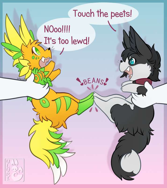 peets.png