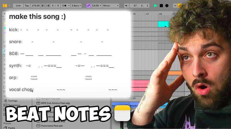 PROJECT FILE & STEMS: BEAT NOTES