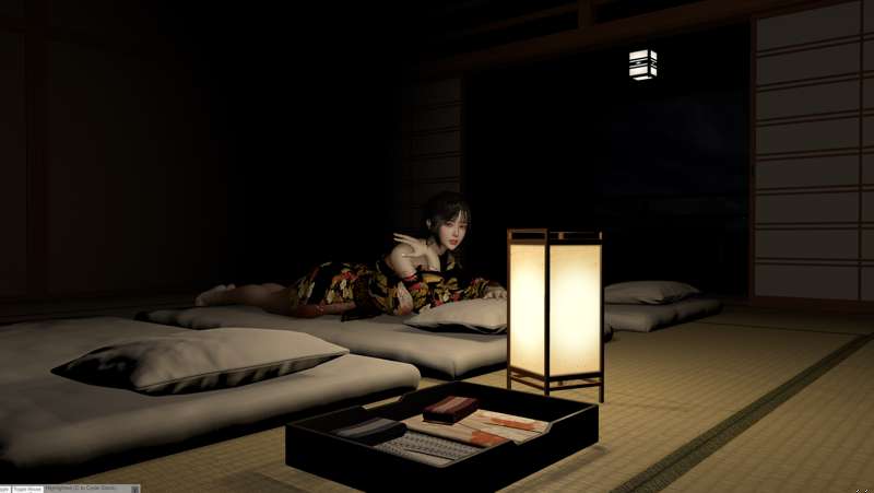 Japanese Hotel
