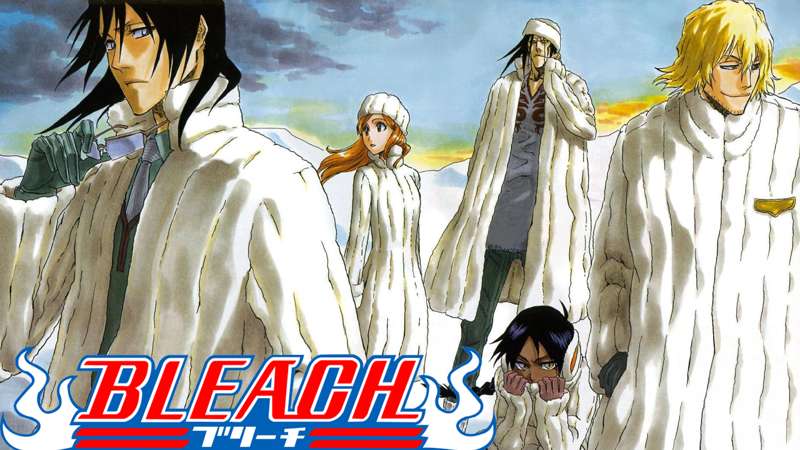 Bleach (Popularity Poll 3) & My Top 10 Characters
