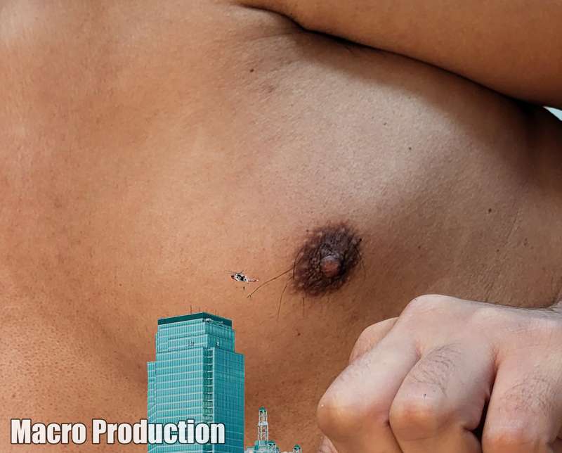 macroproduction