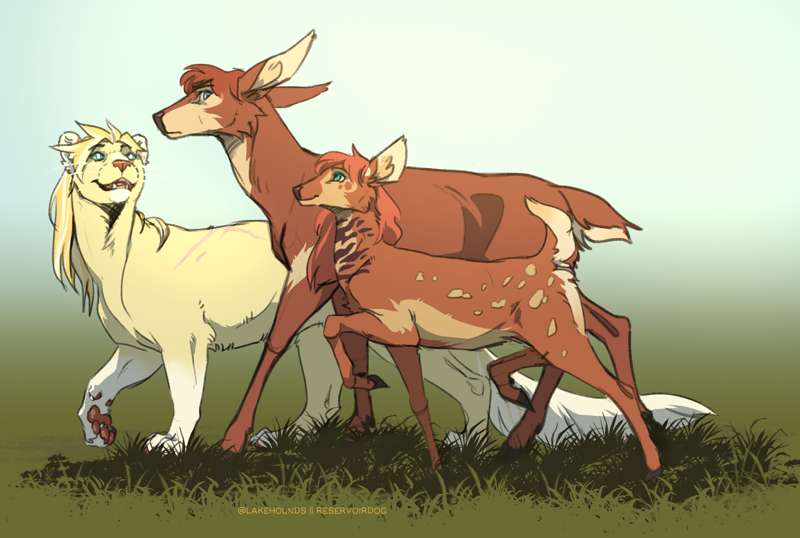 lakehounds
