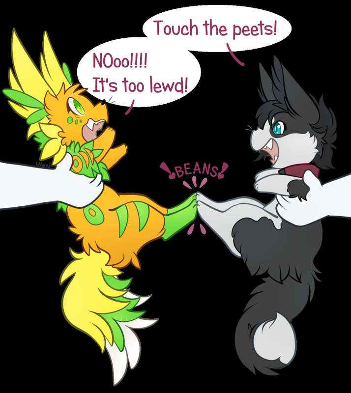 peets bgless.png
