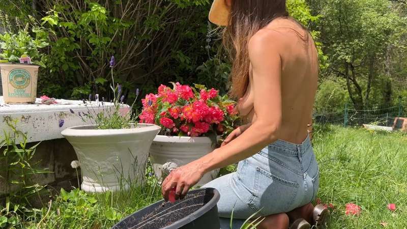THE-NAKED-GARDENER
