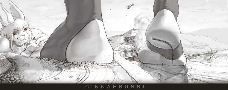 cinnahbunni