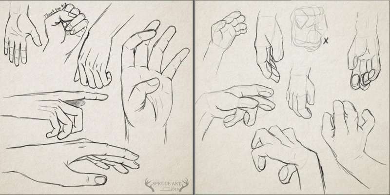 Hand_and_paws_study.png