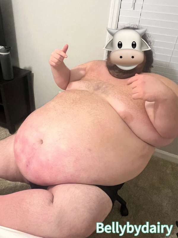 bellybydairy