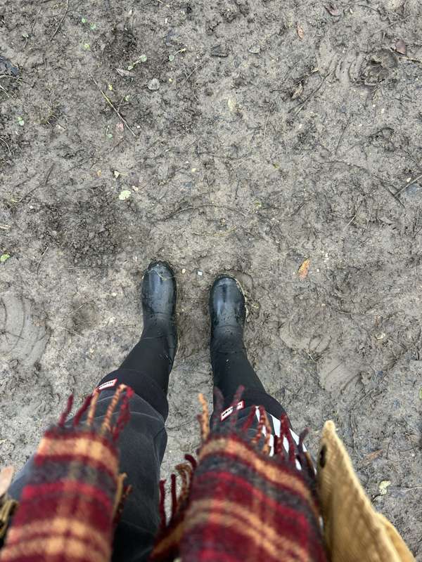 rosie-burr