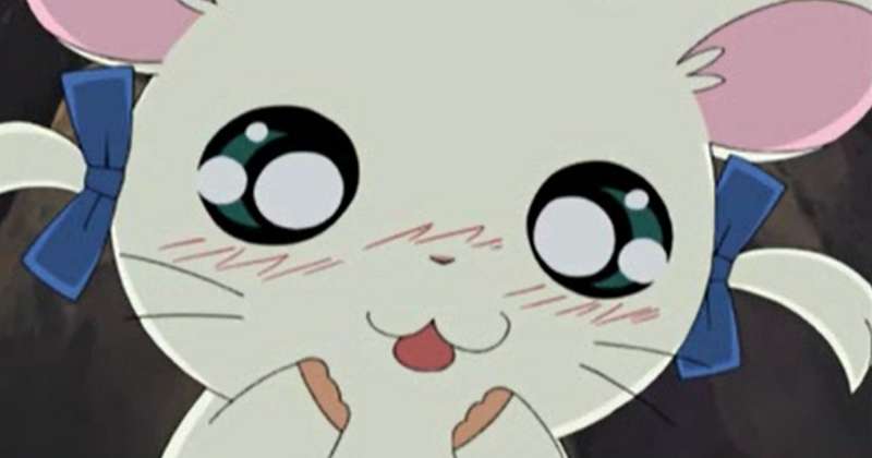 Kemono