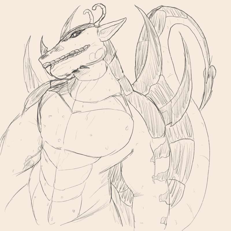 Some sketches