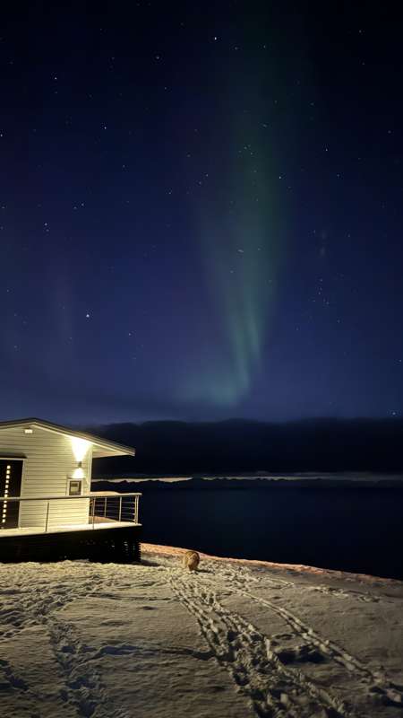 Aurora at 4pm! ✨