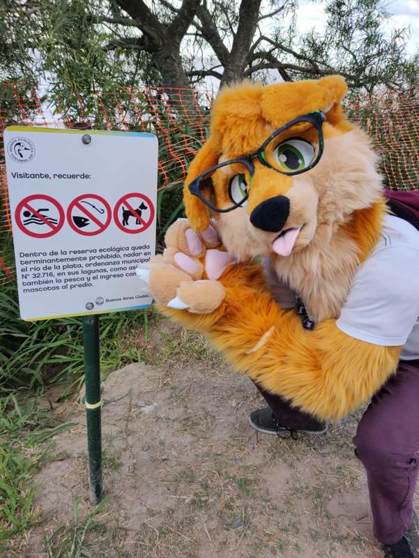 Kemono