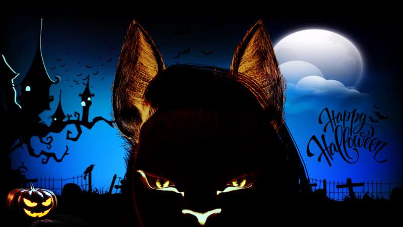 Kemono
