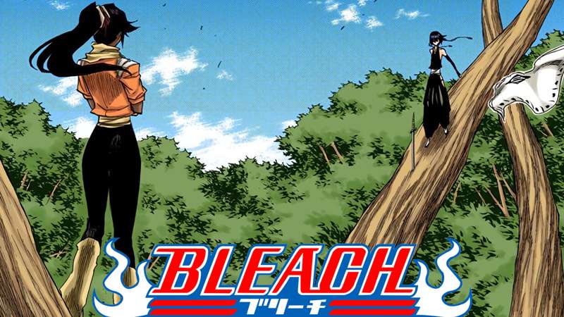 『BLEACH』 "Cat & Hornet" (Ch.157-159)