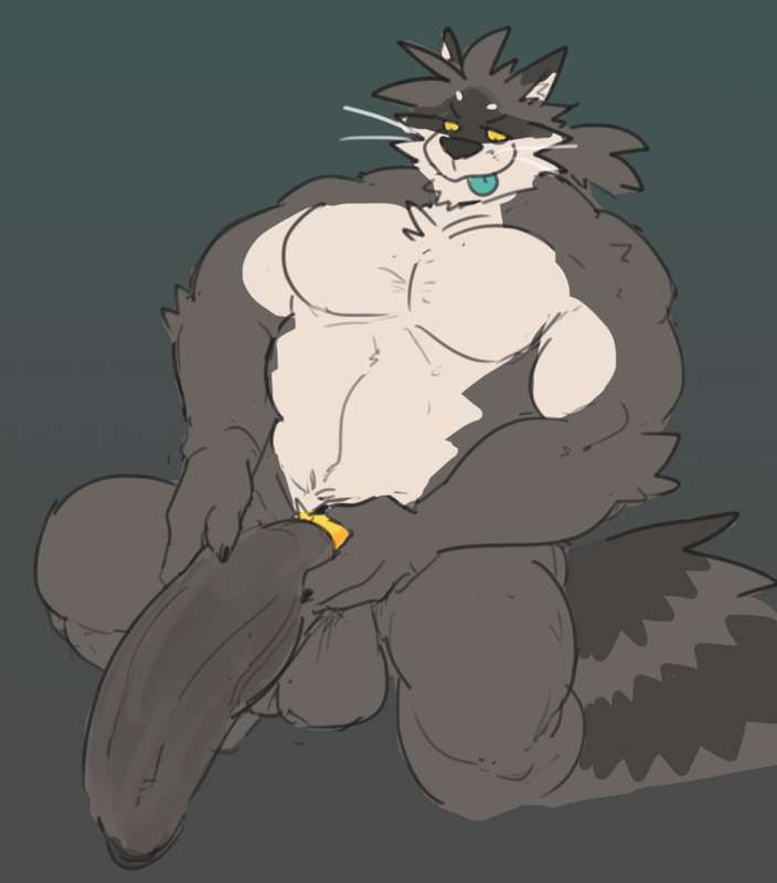 Horny Raccoon