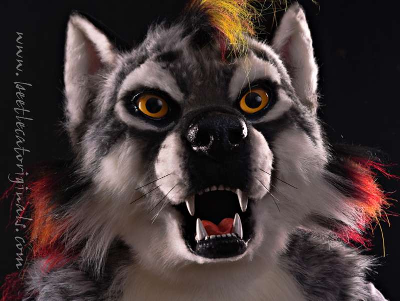 Beetlecat