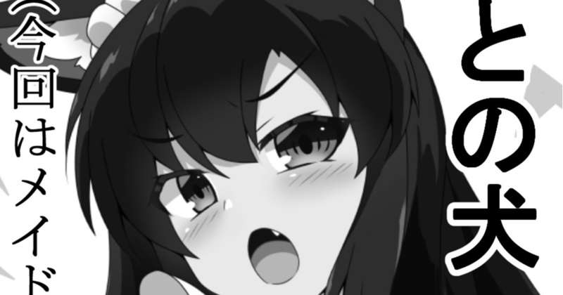 今後の予定について