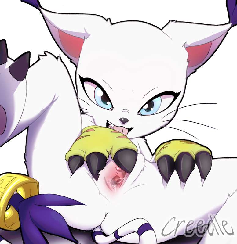 creedle