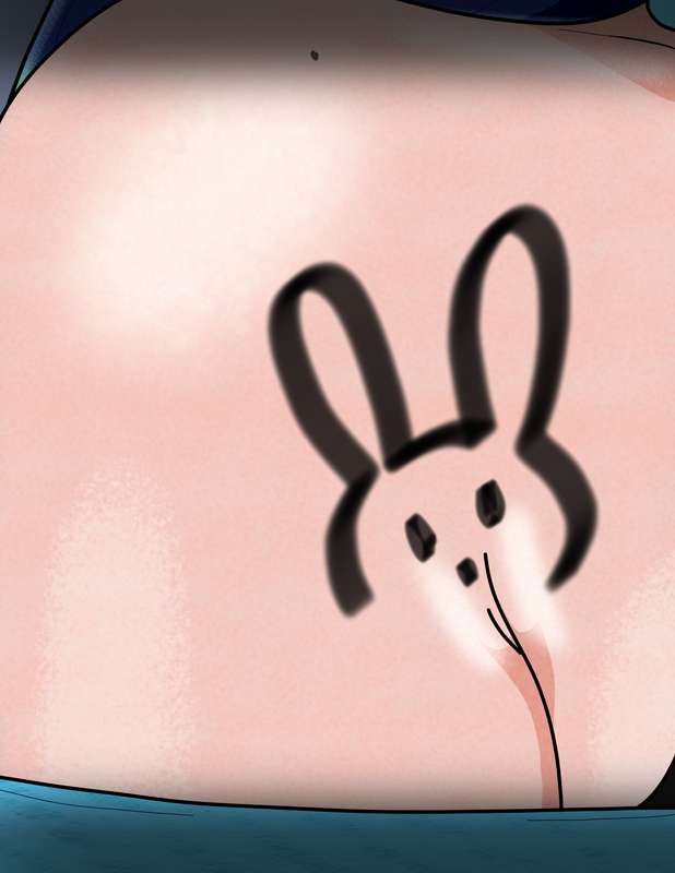 Sunnie's Rabbit 