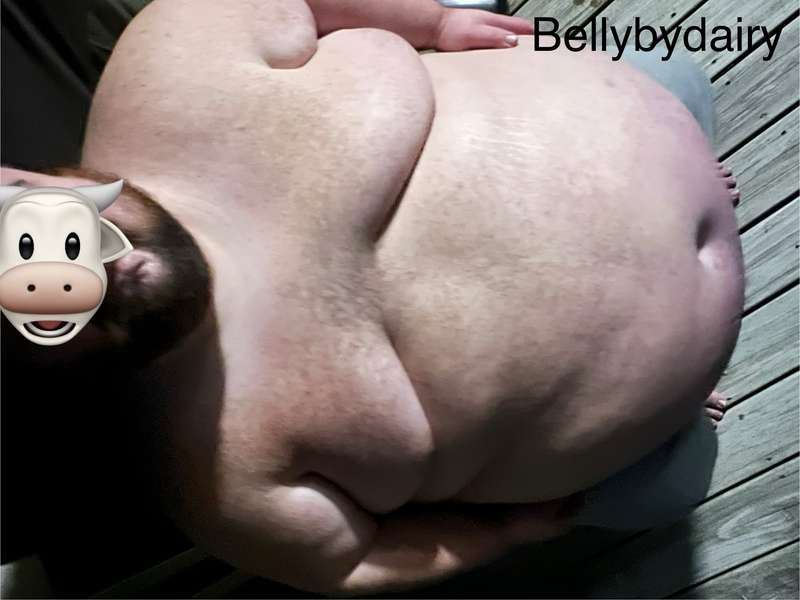 bellybydairy
