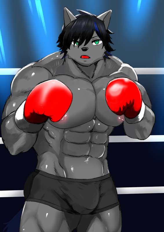 Wild-Punchers
