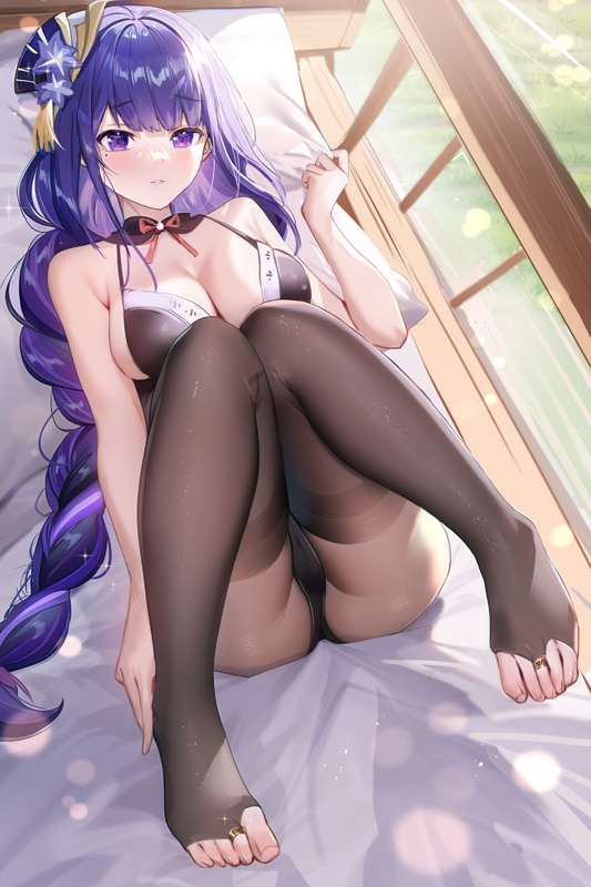山桂贰