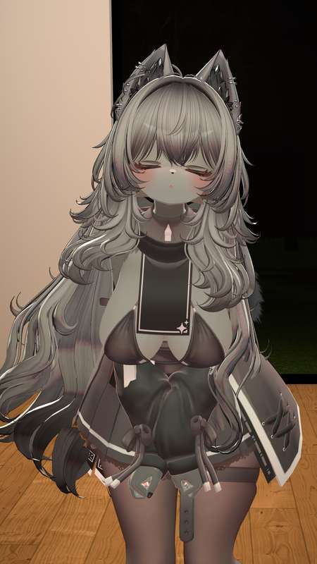 kotamoko