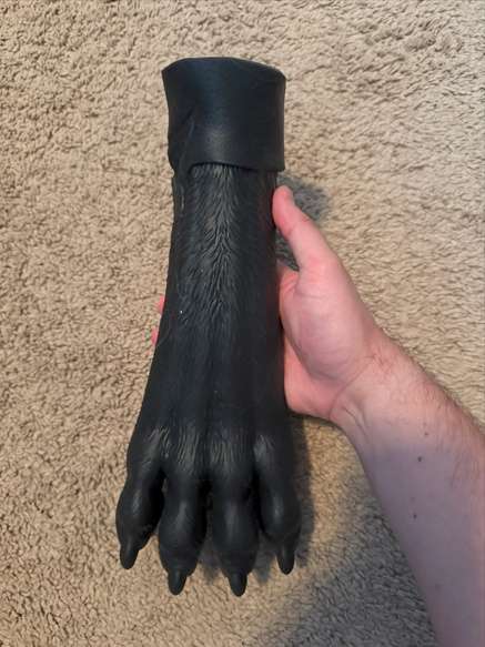 Apollo's Paw