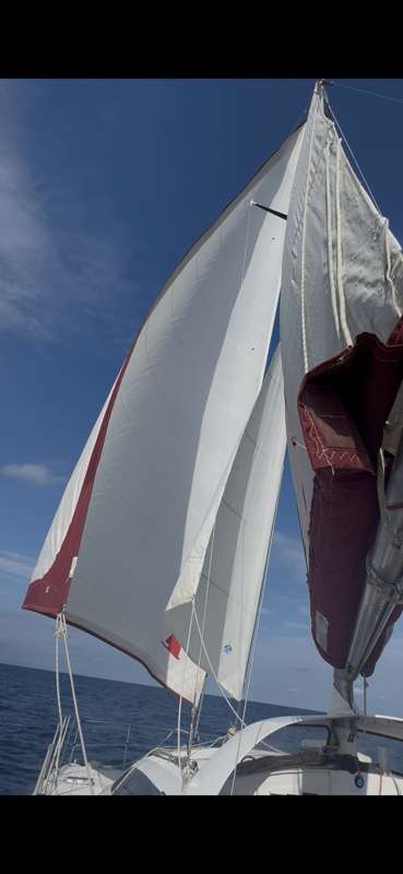 sailing-pickle-family