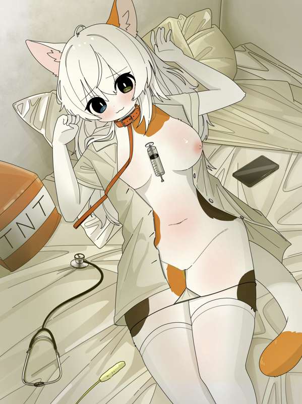 ミケの人