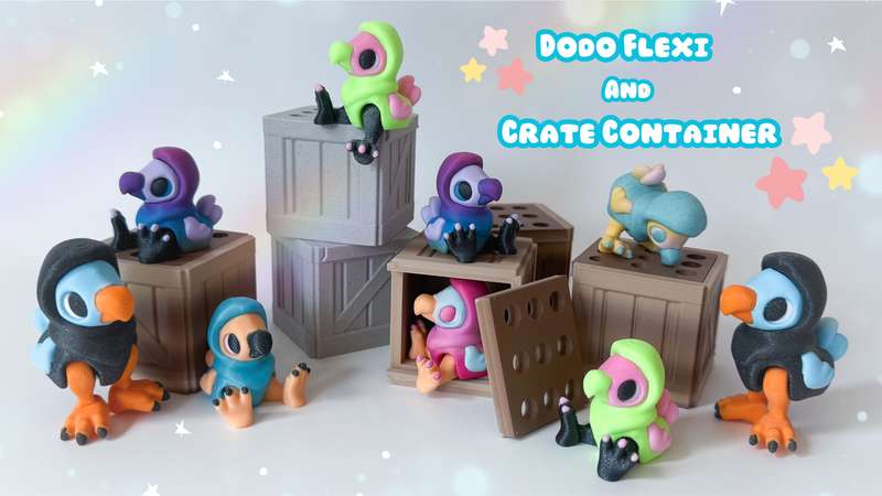 [Archived] Dodo Flexi and Crate Container
