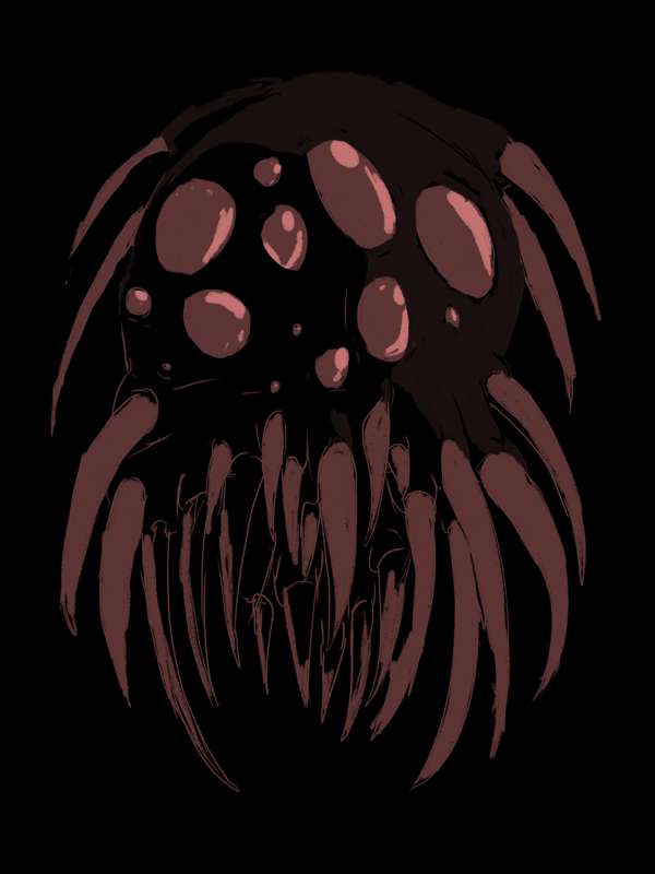 Spoider