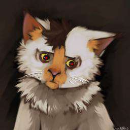Special Discord Server for YOU funky people