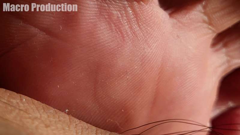macroproduction