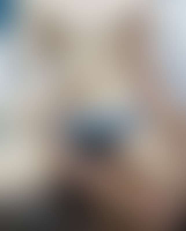 Kemono