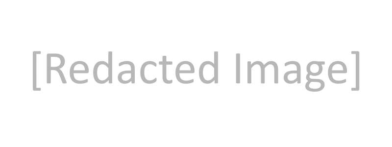 RedactedImage.png