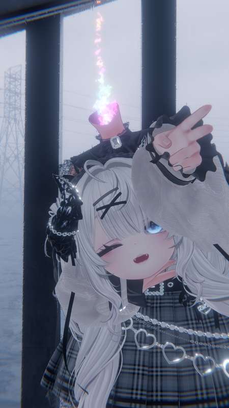 kotamoko