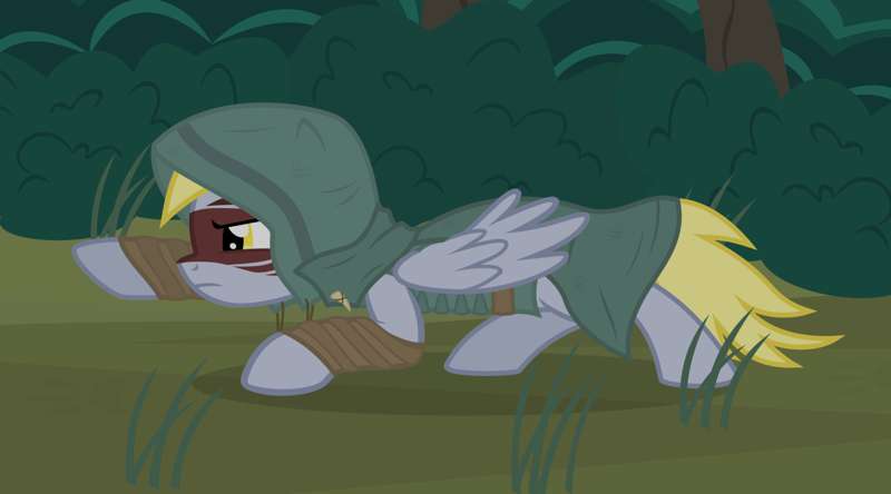 Derpy Ranger