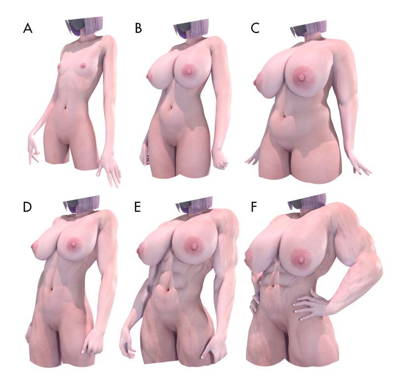 6 body types