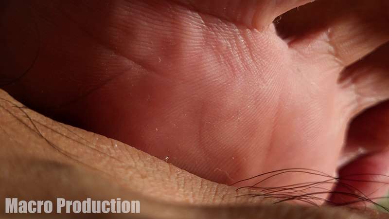 macroproduction