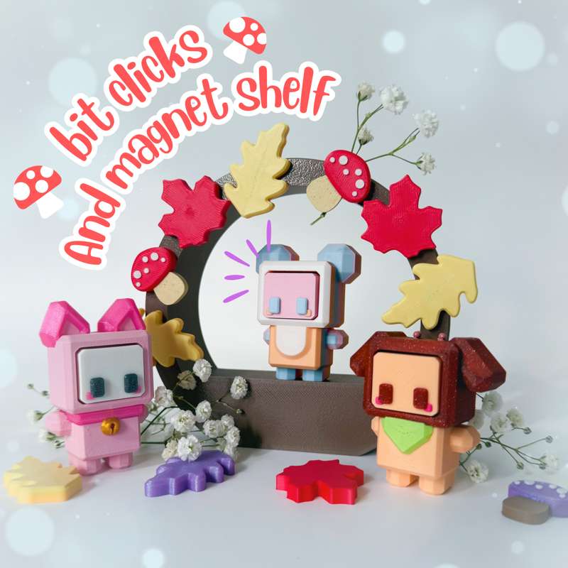 Bit clicks and Magnet shelf