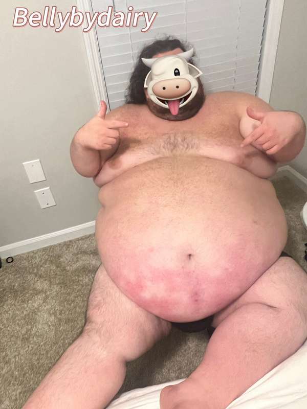 bellybydairy
