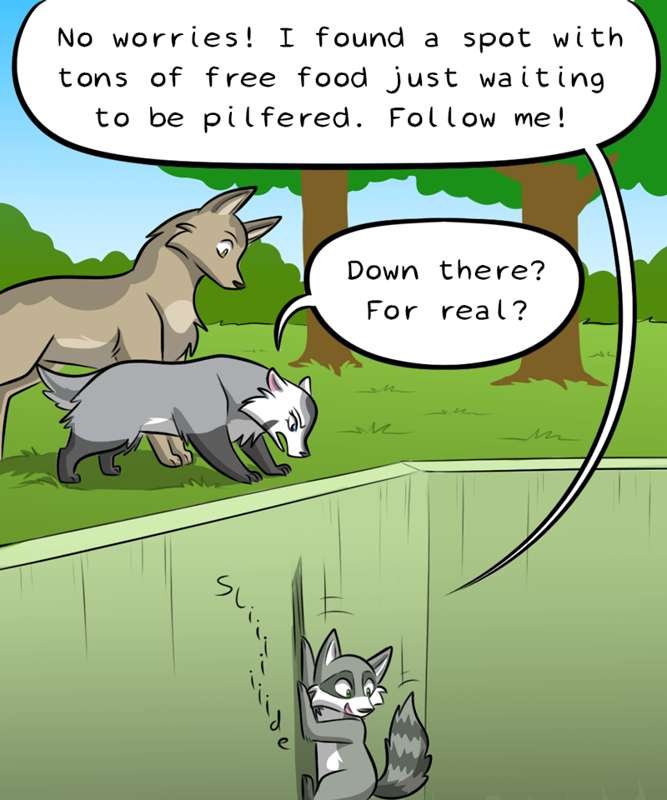 badger-and-coyote-junk-food-1-p3-.png