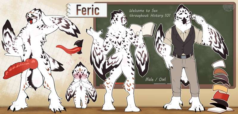 Owl refsheet