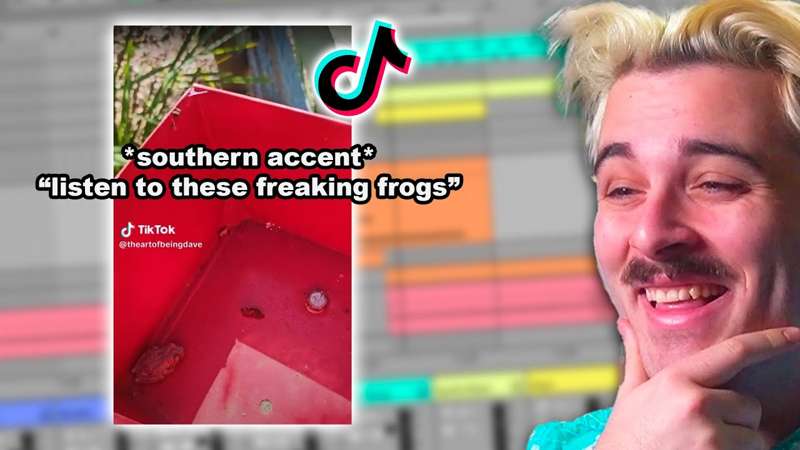 PROJECT FILE & STEMS - frogs